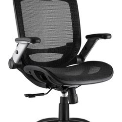 Ergonomic Office Chair