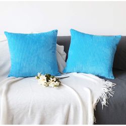 Decorative Summer Throw Pillow Covers 18x18 Set of 2