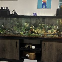 REPTILE TANK