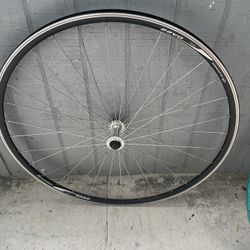Alex fixi rim 