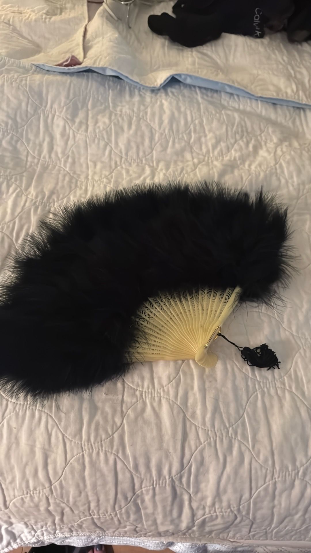 Vintage ostrich, feather fan black feathers with ivory details