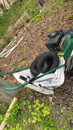 Vacuum