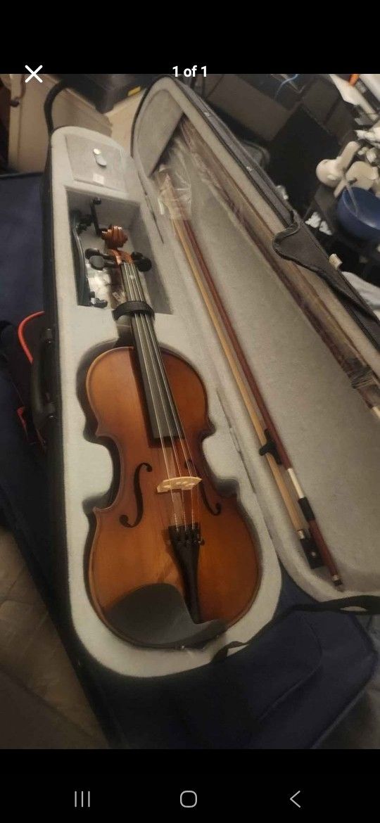 Violin