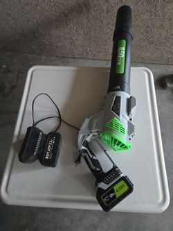 VITALER Electric Leaf Blower New York very good