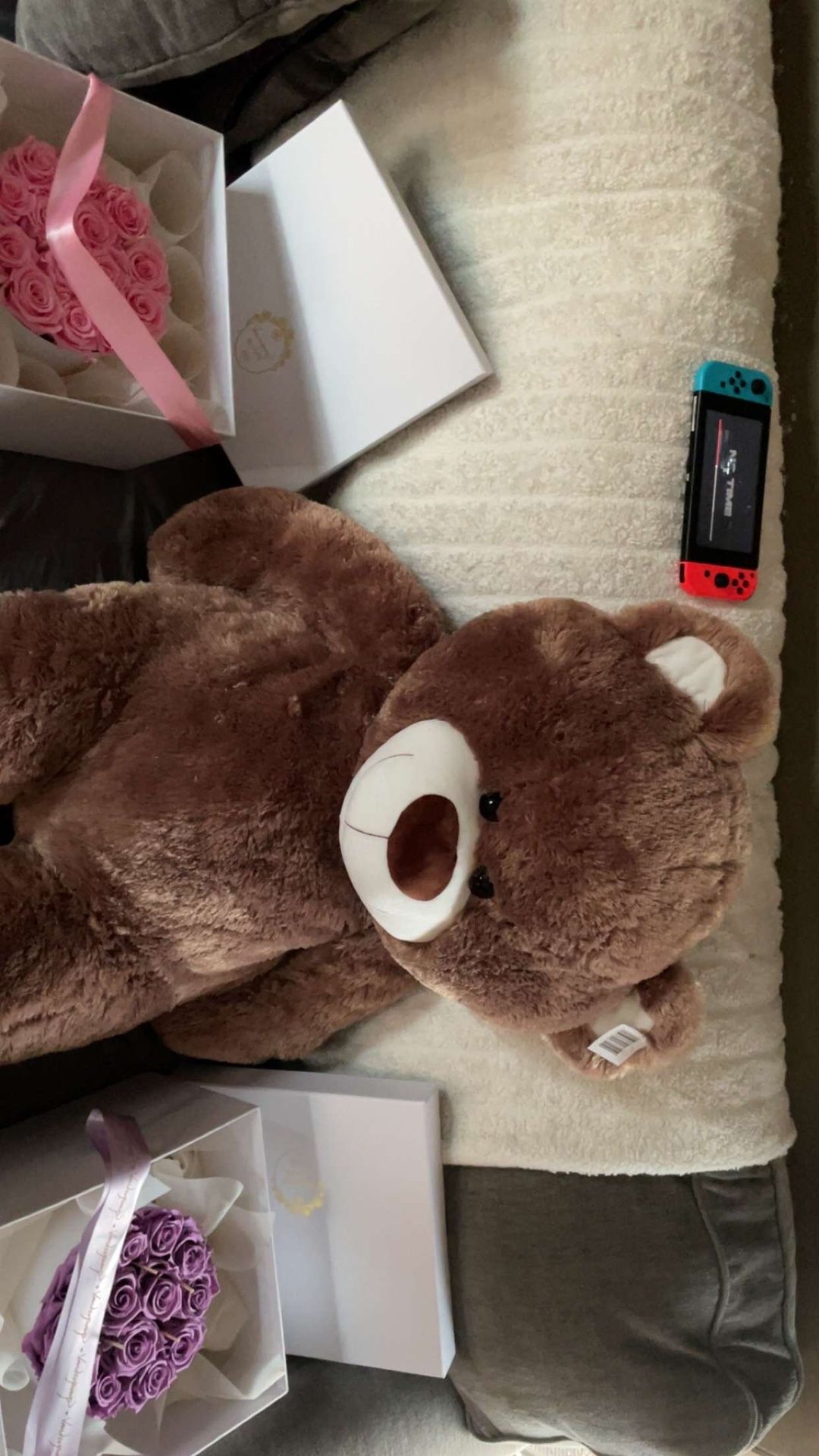 Teddy Bear