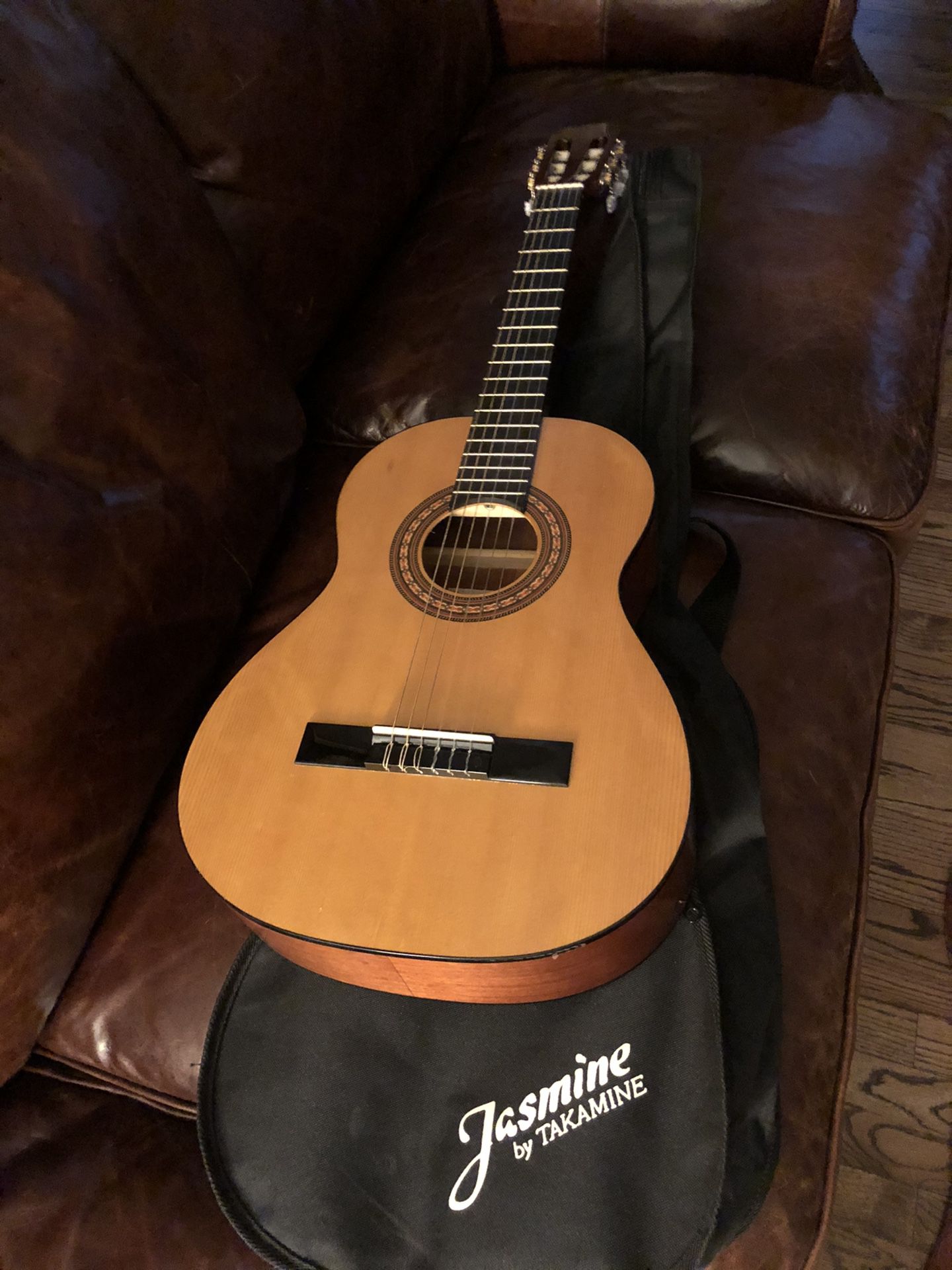 Jasmine acoustic guitar