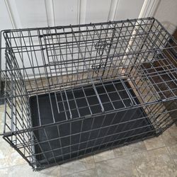 Petco Premium 2-Door Dog Crate, 30" L x 19" W x 21" H