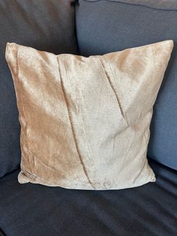 Champagne Velvet Throw Pillows