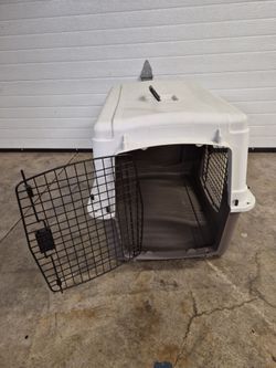 Dog kennel.
