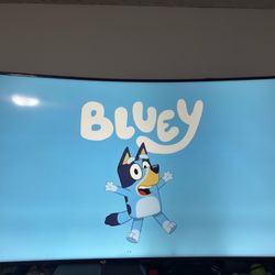 65in Samsung Curved TV 