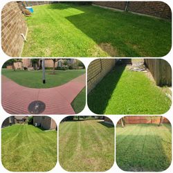 👣cut Grass👣