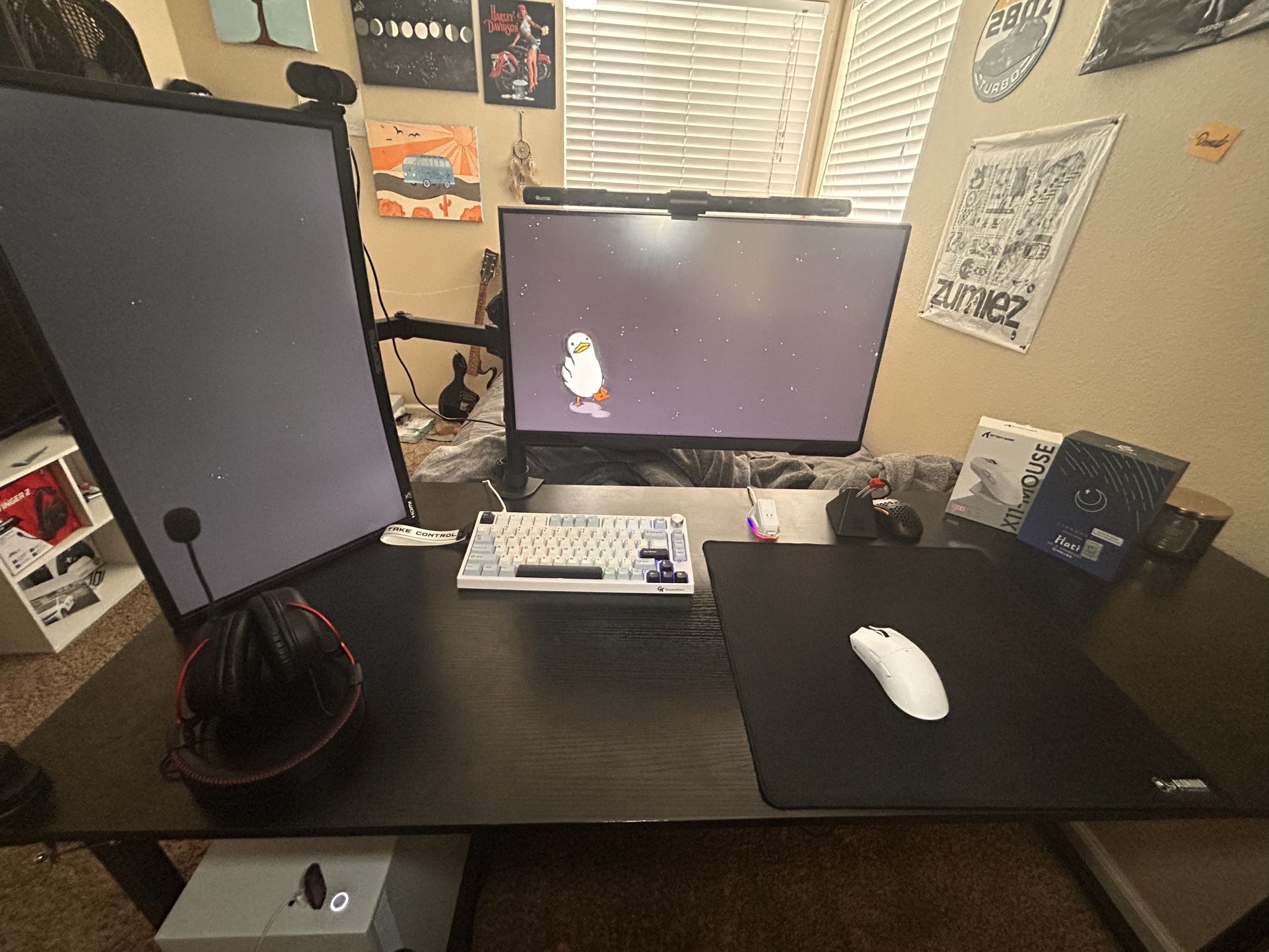 Gaming Setup