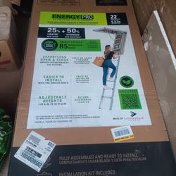 Louisville Attic Ladder 