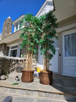 Large Artificial Bamboo Trees in Wicker Baskets – Set of 2