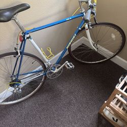 Nishiki Tri-A Flat Bar Road Bike