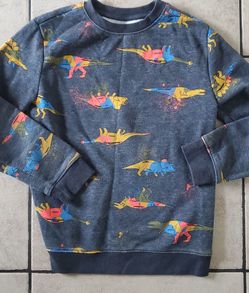 Dinosaur Boy Sweater. Size 5-6