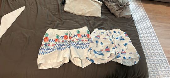 Chubbies Printed Swim Trunks