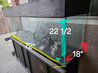Fishtank,aquarium,pecera