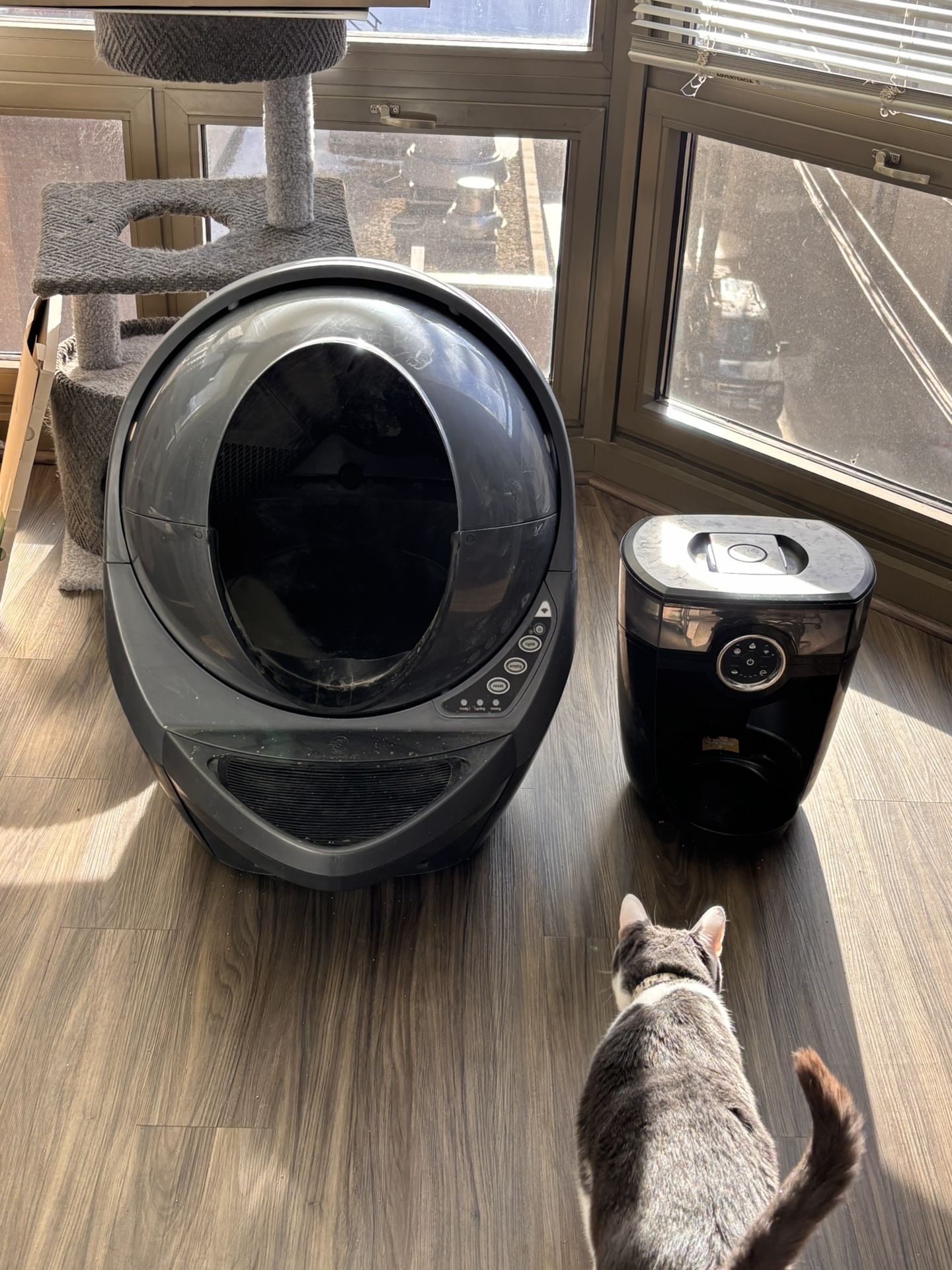 Whisker Litter Robot/auto Pet Feeder Combo