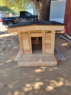 Dog House 