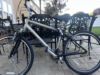 Trek 300 Bike