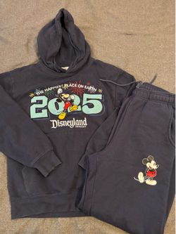 Disneyland sweater