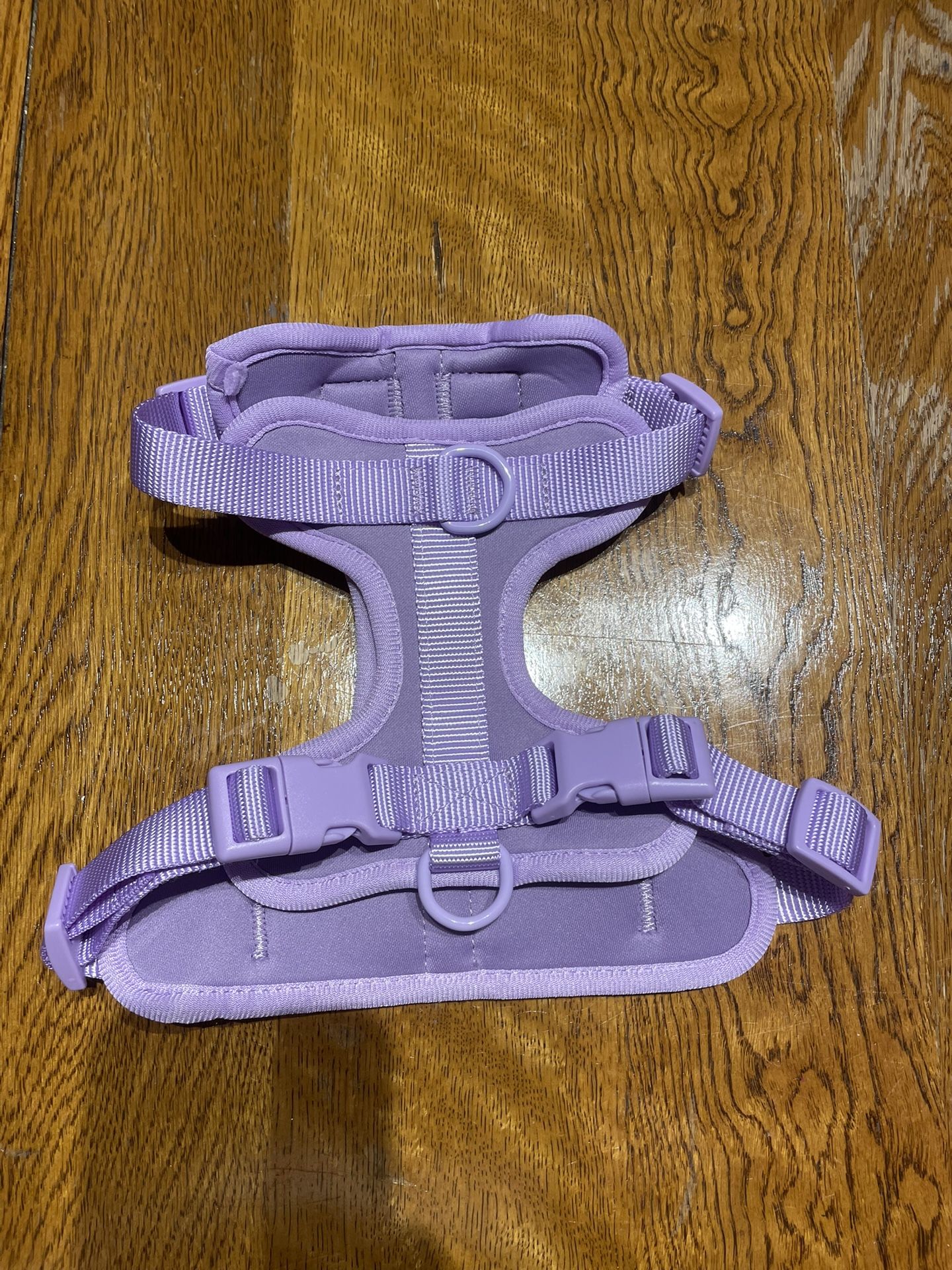 Puppy small leash, 1 for $50 2 for $80