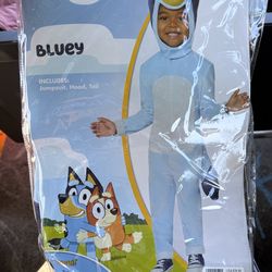 Bluey and family costume