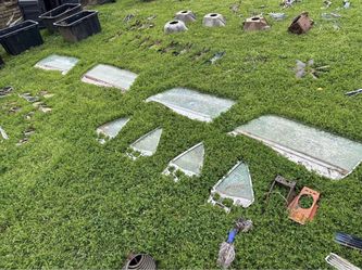 1965 Or 1966 Mustang Coupe Glass Set