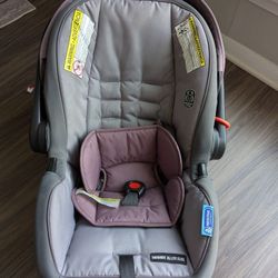 Graco Nest Travel System (Entire Set)