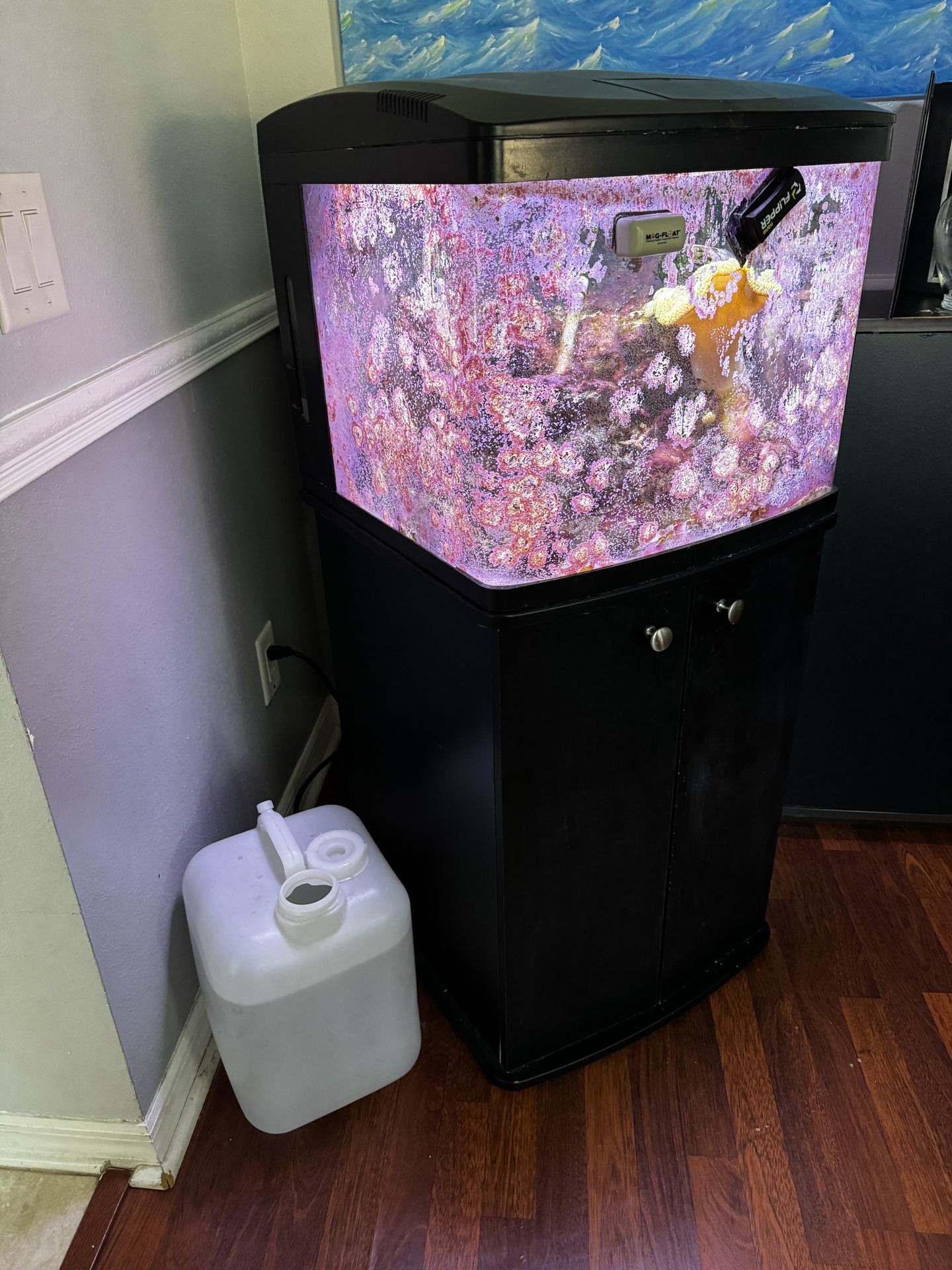 Saltwater Aquarium 29g Biocube With Supplies