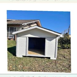 All-Weather Dog Houses in Every Size - Shelter Through Any Climate middle before