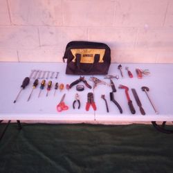 DeWalt Bag With Tools $35