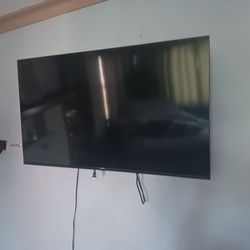 43 Inch TV Need Repairs