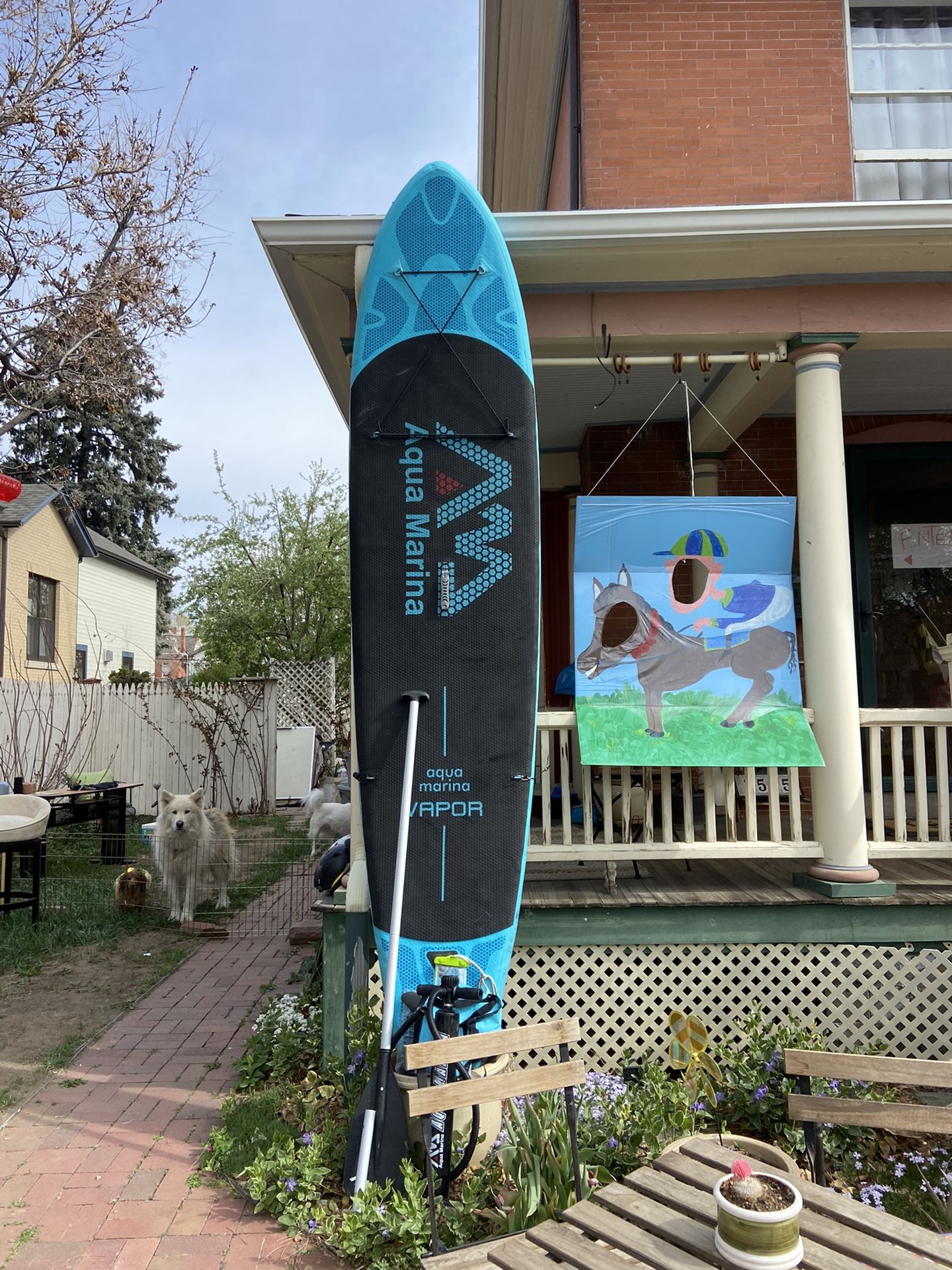 Paddle Board