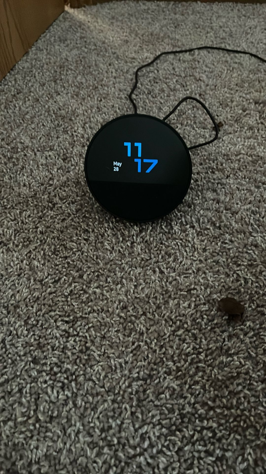 Alexa Echo spot speaker