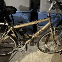 Bike Adult