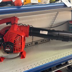 Echo Blower 
