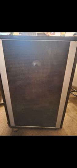 Vintage Peavey Speaker
