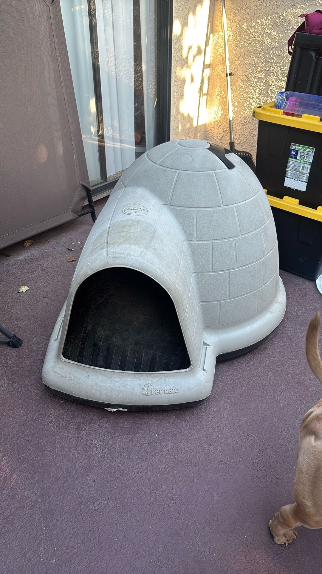 Indigo Dog House