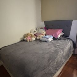 Queen Bed 