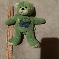 Florida Teddy Bear