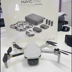 Dji Mavic Mini