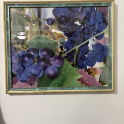 Grapevine Framed Print