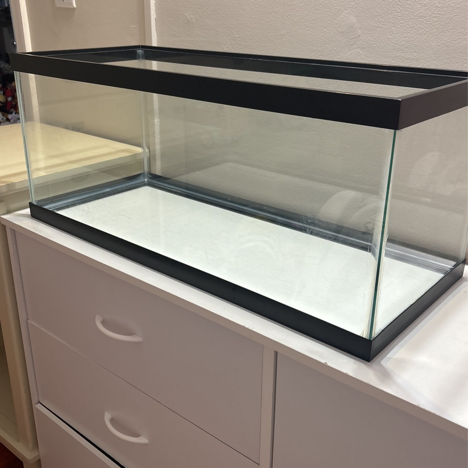 20 gallon aquatic Tank