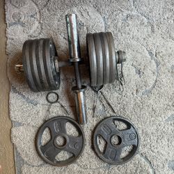Dumbbell and Curl bar