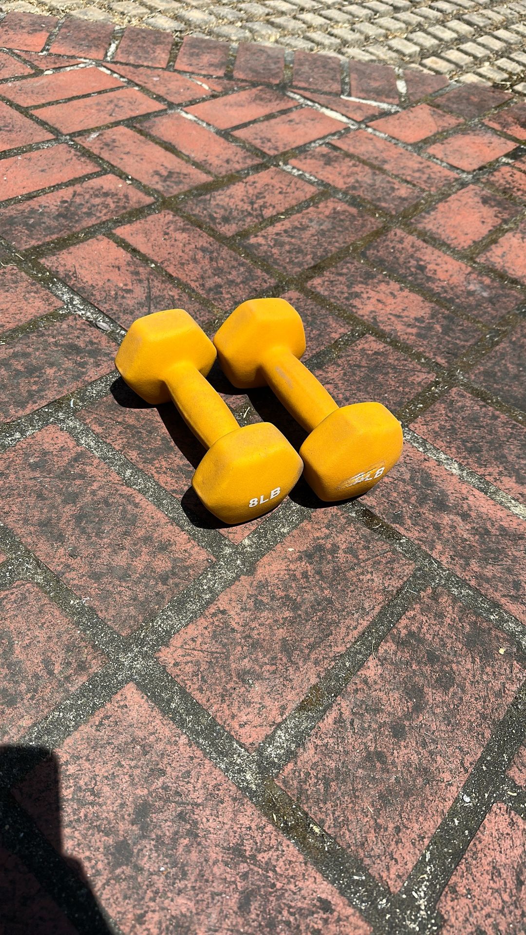 8lb Weights