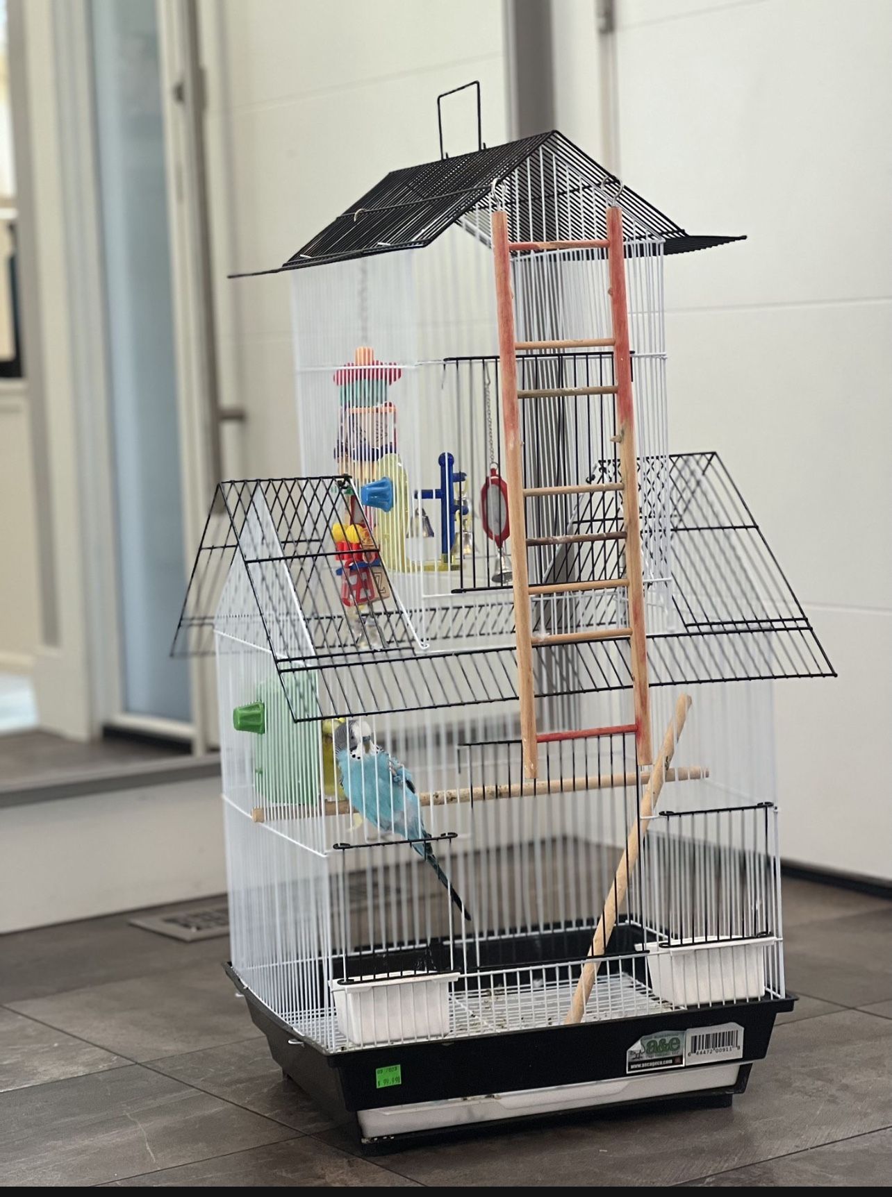 Re Homing Cage With Two Budgies And All Accessories