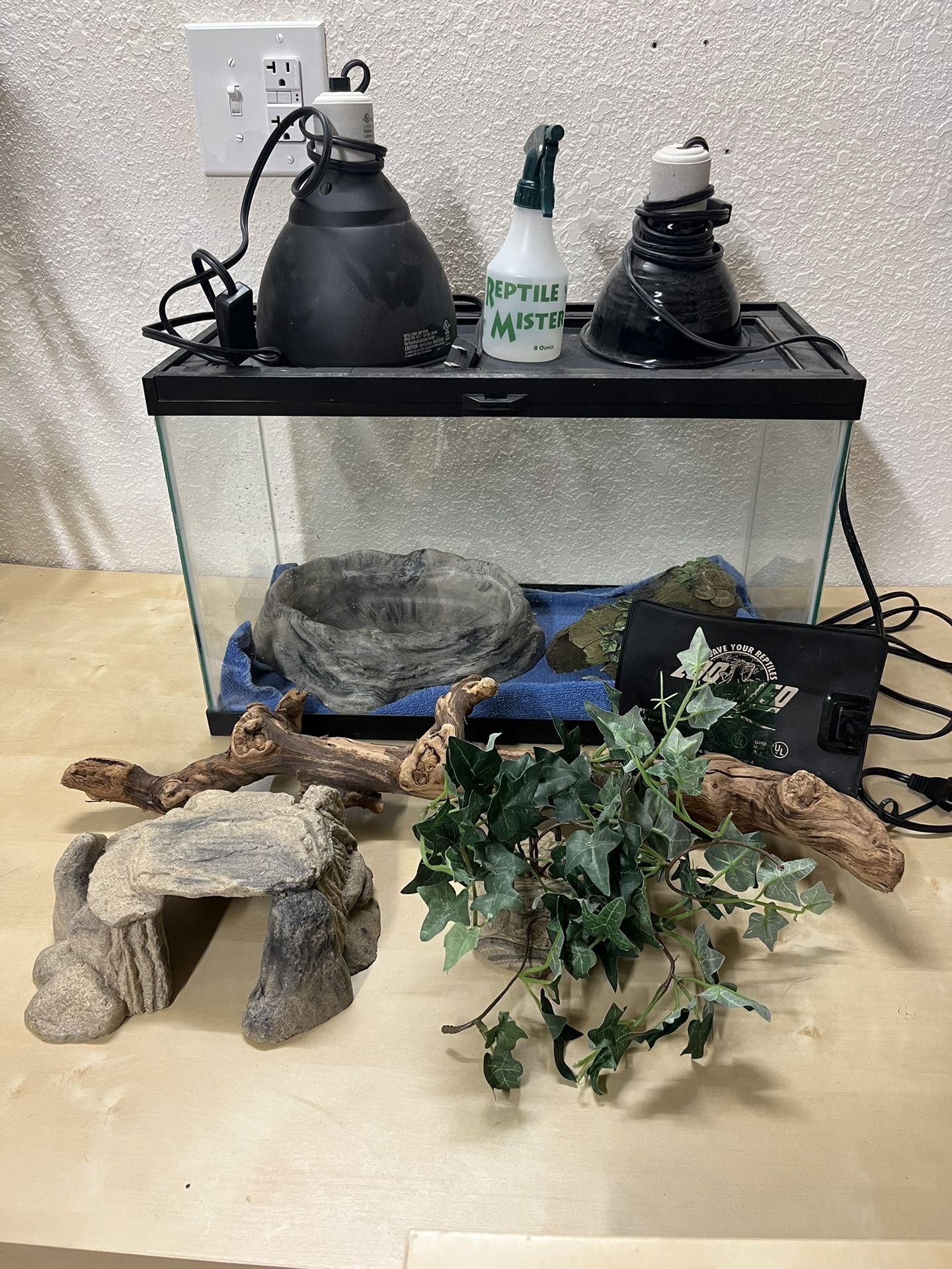 Reptile Tank and Decor