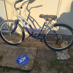 Womans Bike